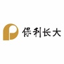 保利长大工程有限公司