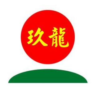 玖龙纸业(控股)有限公司