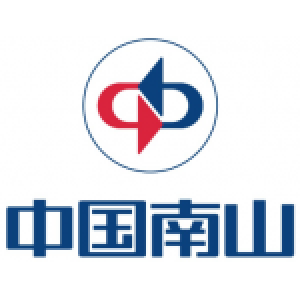中国南山开发(集团)股份有限公司