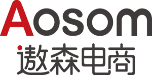 遨森电子商务股份有限公司