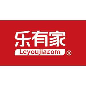 深圳市乐有家控股集团有限公司