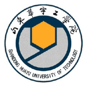 山东华宇工学院