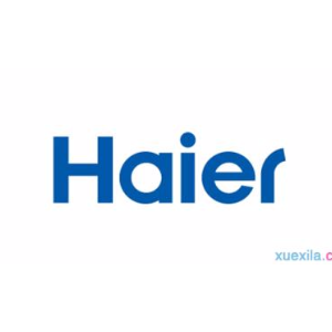 青岛海尔人力资源开发有限公司