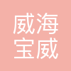 威海宝威新材料科技有限公司