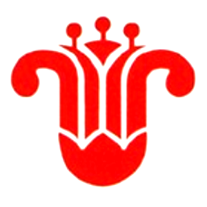 中国南方航空股份有限公司